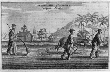 Contadini cinesi, una descrizione generale da un resoconto di un